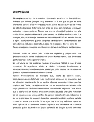 LOS MANGLARES

El manglar es un tipo de ecosistema considerado a menudo un tipo de bioma,
formado por árboles (mangle) muy tolerantes a la sal que ocupan la zona
intermareal cercana a las desembocaduras de cursos de agua dulce de las costas
de latitudes tropicales de la Tierra. Así, entre las áreas con manglares se incluyen
estuarios y zonas costeras. Tienen una enorme diversidad biológica con alta
productividad, encontrándose tanto gran número los árboles que los forman, los
mangles, el vocablo mangle de donde se deriva MANGROVE (en alemán, francés
e inglés) es originalmente guaraní y significa árbol retorcido. Normalmente se dan
como barrera motivos de desarrollo, la costa ha de especies de aves como de
Peces, crustáceos, moluscos, etc. Su nombre deriva de sufrido una rápida erosión.

También sirven de hábitat para numerosas especies y proporcionan una
protección natural contra catástrofes del tipo de fuertes vientos, olas producidas
por huracanes e incluso por maremotos.
La estructura de las praderas marinas proporciona hábitat a una diversa
comunidad de organismos sésiles y vágiles, incluyendo invertebrados y
vertebrados de importancia comercial y ecológica, para muchos de los cuales las
praderas representan también áreas de crianza.
Aunque

frecuentemente

se

menciona

que,

aparte

de

algunos

erizos,

gasterópodos, peces, la tortuga verde y del manatí, son pocos los organismos que
se alimentan directamente de los pastos, algunas evidencias indican que las
praderas del Caribe, particularmente las que se encuentran en latitudes más
bajas, poseen una cantidad considerable de consumidores de pastos. Cabe anotar
que la sobrepesca en muchas áreas del Caribe ha causado una fuerte reducción
de las poblaciones de tortuga verde y de grandes peces herbívoros, reduciendo a
su vez la intensidad de consumo de pastos. Las praderas alojan en sí una variada
comunidad animal que se nutre de las algas y de la micro y meiofauna, que a su
turno aprovecha la abundante materia orgánica. Adicionalmente, la hojarasca
producida que se acumula en las playas por efecto del oleaje o durante tormentas

 