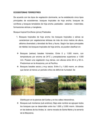 ECOSISTEMAS TERRESTRES
De acuerdo con los tipos de vegetación dominante, se ha establecido cinco tipos
principales de ecosistemas: bosques tropicales de hoja ancha; bosques de
coníferas y bosques templados de hoja ancha; pastizales - sabanas - matorrales;
formaciones xéricas y manglares.
Bosque tropical Coníferas (pinos) Pastizales
1. Bosques tropicales de hoja ancha: los bosques tropicales o selvas se
caracterizan por vegetaciones leñosas de más de cinco metros de altura,
altísima diversidad y densidad de flora y fauna. Según los tipos principales
de hábitat, los bosques tropicales de hoja ancha, se pueden clasificar en:
 Bosques (selvas) basales húmedos. Entre 0 y 1.000 msnm, con
temperaturas por encima de 24°C y precipitaciones superiores a 1.500
mm. Poseen una vegetación muy densa, con alturas entre 20 m y 50 m.
Predominan en la Amazonia y en el Pacífico.
 Bosques basales secos y muy secos. Entre 0 y 1.000 msnm, en climas
que tienen al menos un período crítico de déficit de humedad. Se

Distribuyen en la planicie del Caribe y en los valles interandinos.
 Bosques sub montanos (sub andinos). Bajo este nombre se agrupan todos
los bosques que se desarrollan entre los 1.000 y 2.000 msnm. Ubicados
en las laderas de los Andes, la sierra nevada de Santa Marta y la serranía
de la Macarena.

 