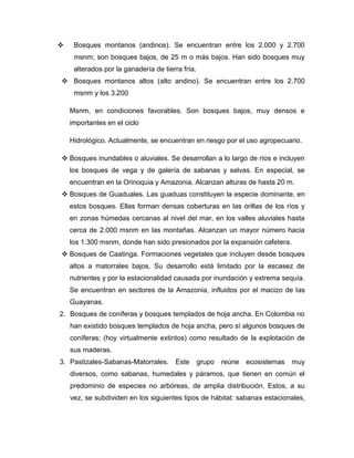 

Bosques montanos (andinos). Se encuentran entre los 2.000 y 2.700
msnm; son bosques bajos, de 25 m o más bajos. Han sido bosques muy
alterados por la ganadería de tierra fría.

 Bosques montanos altos (alto andino). Se encuentran entre los 2.700
msnm y los 3.200
Msnm, en condiciones favorables. Son bosques bajos, muy densos e
importantes en el ciclo
Hidrológico. Actualmente, se encuentran en riesgo por el uso agropecuario.
 Bosques inundables o aluviales. Se desarrollan a lo largo de ríos e incluyen
los bosques de vega y de galería de sabanas y selvas. En especial, se
encuentran en la Orinoquia y Amazonia. Alcanzan alturas de hasta 20 m.
 Bosques de Guaduales. Las guaduas constituyen la especie dominante, en
estos bosques. Ellas forman densas coberturas en las orillas de los ríos y
en zonas húmedas cercanas al nivel del mar, en los valles aluviales hasta
cerca de 2.000 msnm en las montañas. Alcanzan un mayor número hacia
los 1.300 msnm, donde han sido presionados por la expansión cafetera.
 Bosques de Caatinga. Formaciones vegetales que incluyen desde bosques
altos a matorrales bajos. Su desarrollo está limitado por la escasez de
nutrientes y por la estacionalidad causada por inundación y extrema sequía.
Se encuentran en sectores de la Amazonia, influidos por el macizo de las
Guayanas.
2. Bosques de coníferas y bosques templados de hoja ancha. En Colombia no
han existido bosques templados de hoja ancha, pero sí algunos bosques de
coníferas; (hoy virtualmente extintos) como resultado de la explotación de
sus maderas.
3. Pastizales-Sabanas-Matorrales.

Este

grupo

reúne

ecosistemas

muy

diversos, como sabanas, humedales y páramos, que tienen en común el
predominio de especies no arbóreas, de amplia distribución. Estos, a su
vez, se subdividen en los siguientes tipos de hábitat: sabanas estacionales,

 
