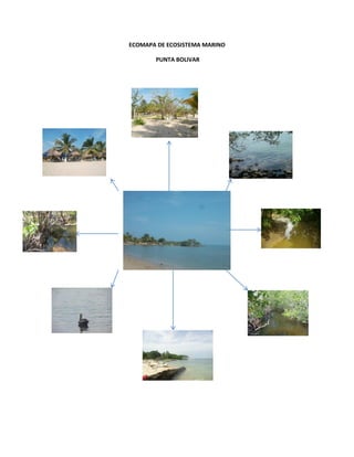 ECOMAPA DE ECOSISTEMA MARINO
PUNTA BOLIVAR

 