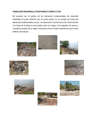 VIABILIDAD DESARROLLO SOSTENIBLE CUMPLE O NO
De acuerdo con el grafico de los elementos fundamentales de desarrollo
sostenible se pudo observar que en punta bolívar no se cumple con todos los
elementos fundamentales ya que se observaron muchos focos de contaminación
a lo largo de la playa lo que puede poner en riesgo a las especies de peces y
crustáceos propios de la región incluyendo al ser humano además de que le quita
belleza a las playas.

 