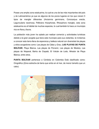 Posee una amplia zona estatuarina, la cual es una de las más importantes del país
y de Latinoamérica ya que es algunos de los pocos lugares en los que crecen 5
tipos

de

manglar

diferentes

(Avicennia

germinans,

Conocarpus

erecta,

Laguncularia racemosa, Pelliciera rhizophorae, Rhizophora mangle), esta zona
estatuarina es el hábitat de muchas especies, lo cual también lo hace un municipio
rico en flora y fauna.
La población más joven ha optado por realizar comercio y actividades turísticas
debido a la gran acogida que tiene este municipio para sus visitantes, te invitamos
a conocer esta tierra llena de esperanza y belleza natural con diversidad de playas
y sitios acogedores como: Las playas de Cálao y Grau, LAS PLAYAS DE PUNTA
BOLÍVAR, Playa Blanca, Las playas de Porvenir, Las playas de Mestizo, Las
playas de Nisperal, Bahía de Cispatá, El Volcán de Lodo, Mirador de Playa
Blanca, entre otros.
PUNTA BOLÍVAR pertenece a Córdoba en Colombia Está clasificado como:
Orográfico (Zona estrecha de tierra que entra en el mar, de menor tamaño que un
cabo)

 