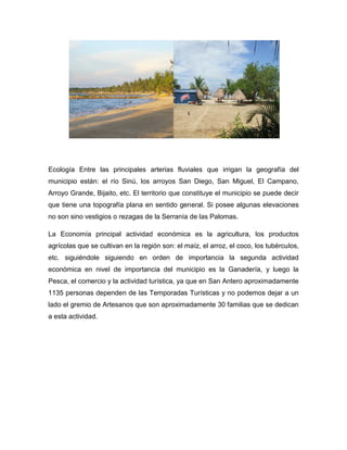 Ecología Entre las principales arterias fluviales que irrigan la geografía del
municipio están: el río Sinú, los arroyos San Diego, San Miguel, El Campano,
Arroyo Grande, Bijaito, etc. El territorio que constituye el municipio se puede decir
que tiene una topografía plana en sentido general. Si posee algunas elevaciones
no son sino vestigios o rezagas de la Serranía de las Palomas.
La Economía principal actividad económica es la agricultura, los productos
agrícolas que se cultivan en la región son: el maíz, el arroz, el coco, los tubérculos,
etc. siguiéndole siguiendo en orden de importancia la segunda actividad
económica en nivel de importancia del municipio es la Ganadería, y luego la
Pesca, el comercio y la actividad turística, ya que en San Antero aproximadamente
1135 personas dependen de las Temporadas Turísticas y no podemos dejar a un
lado el gremio de Artesanos que son aproximadamente 30 familias que se dedican
a esta actividad.

 