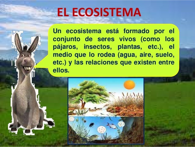 Ecosistema nivel básico (parte ii)