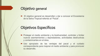 ecosistema pacal.pptx