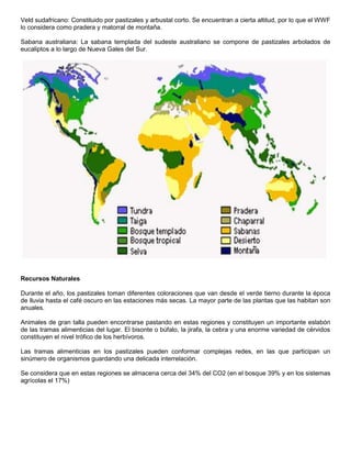 Veld sudafricano: Constituido por pastizales y arbustal corto. Se encuentran a cierta altitud, por lo que el WWF 
lo considera como pradera y matorral de montaña. 
Sabana australiana: La sabana templada del sudeste australiano se compone de pastizales arbolados de 
eucaliptos a lo largo de Nueva Gales del Sur. 
Recursos Naturales 
Durante el año, los pastizales toman diferentes coloraciones que van desde el verde tierno durante la época 
de lluvia hasta el café oscuro en las estaciones más secas. La mayor parte de las plantas que las habitan son 
anuales. 
Animales de gran talla pueden encontrarse pastando en estas regiones y constituyen un importante eslabón 
de las tramas alimenticias del lugar. El bisonte o búfalo, la jirafa, la cebra y una enorme variedad de cérvidos 
constituyen el nivel trófico de los herbívoros. 
Las tramas alimenticias en los pastizales pueden conformar complejas redes, en las que participan un 
sinúmero de organismos guardando una delicada interrelación. 
Se considera que en estas regiones se almacena cerca del 34% del CO2 (en el bosque 39% y en los sistemas 
agrícolas el 17%) 
 