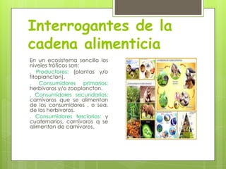 Interrogantes de la
cadena alimenticia
En un ecosistema sencillo los
niveles tróficos son:
. Productores: (plantas y/o
fitoplancton).
. Consumidores primarios:
herbívoros y/o zooplancton.
. Consumidores secundarios:
carnívoros que se alimentan
de los consumidores , o sea,
de los herbívoros.
. Consumidores terciarios: y
cuaternarios, carnívoros q se
alimentan de carnívoros.

 