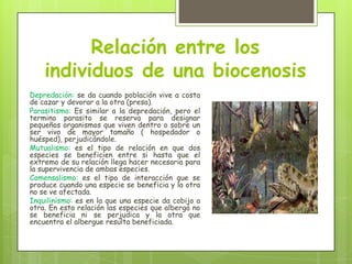 Relación entre los
individuos de una biocenosis
Depredación: se da cuando población vive a costa
de cazar y devorar a la otra (presa).
Parasitismo: Es similar a la depredación, pero el
termino parasito se reserva para designar
pequeños organismos que viven dentro o sobre un
ser vivo de mayor tamaño ( hospedador o
huésped), perjudicándole.
Mutualismo: es el tipo de relación en que dos
especies se beneficien entre si hasta que el
extremo de su relación llega hacer necesaria para
la supervivencia de ambas especies.
Comensalismo: es el tipo de interacción que se
produce cuando una especie se beneficia y la otra
no se ve afectada.
Inquilinismo: es en la que una especie da cobijo a
otra. En esta relación las especies que alberga no
se beneficia ni se perjudica y la otra que
encuentra el albergue resulta beneficiada.

 