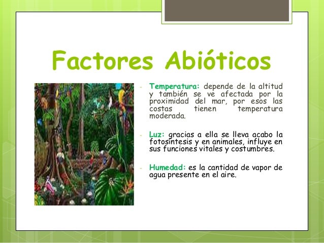 Ecosistema power point