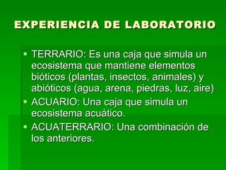 EXPERIENCIA DE LABORATORIO TERRARIO: Es una caja que simula un ecosistema que mantiene elementos bióticos (plantas, insectos, animales) y abióticos (agua, arena, piedras, luz, aire) ACUARIO: Una caja que simula un ecosistema acuático. ACUATERRARIO: Una combinación de los anteriores. 