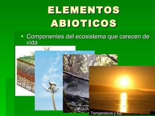 ELEMENTOS ABIOTICOS Componentes del ecosistema que carecen de vida SUELO AIRE AGUA, HUMEDAD Temperatura y luz 