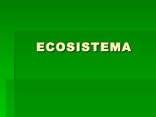 ECOSISTEMA 