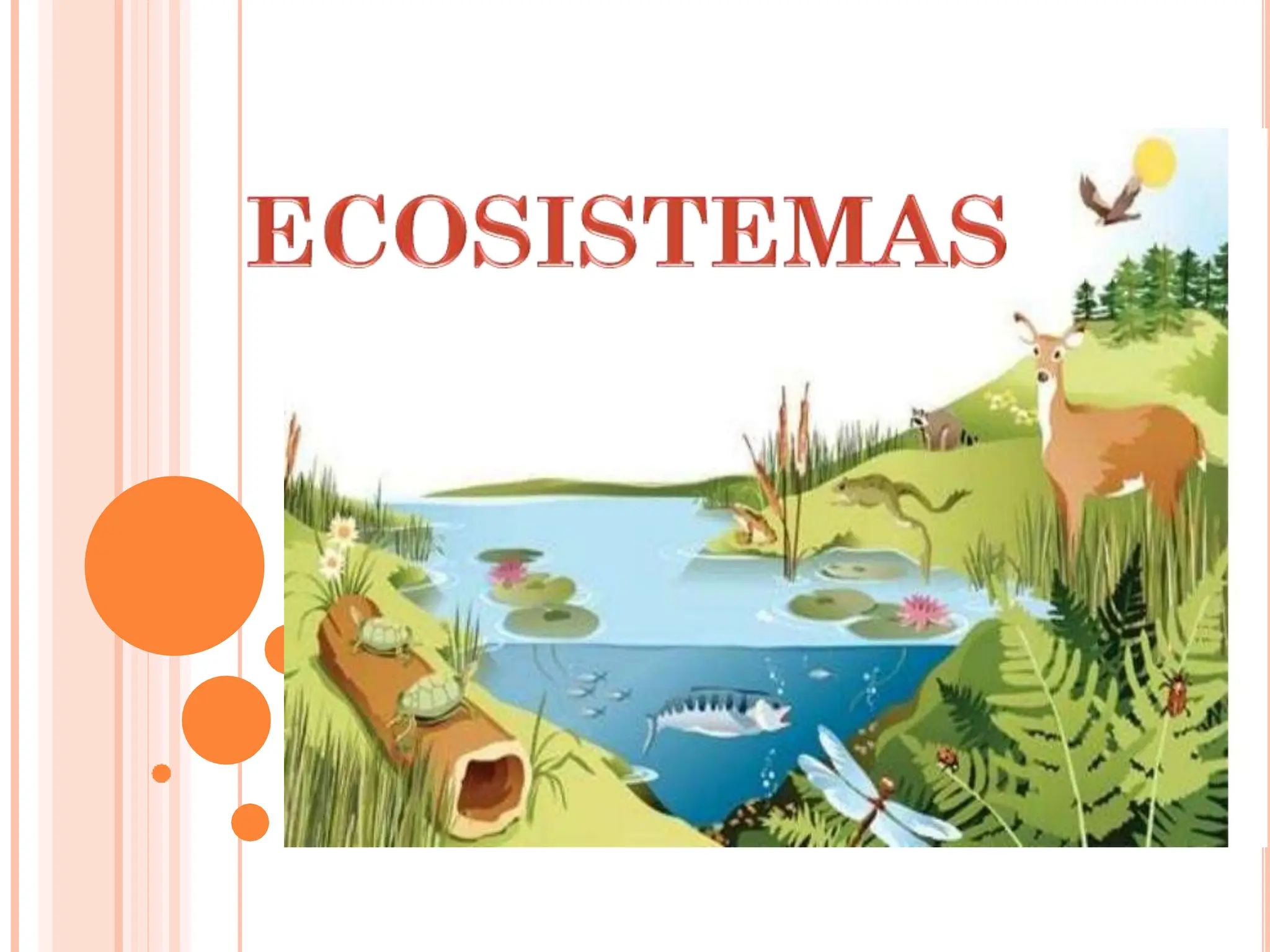 ecosistema presentación de generalidades y cuestiones específicas | PPTX