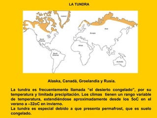 LA TUNDRA




                   Alaska, Canadá, Groelandia y Rusia.

La tundra es frecuentemente llamada “el desierto congelado”, por su
temperatura y limitada precipitación. Los climas tienen un rango variable
de temperatura, extendiéndose aproximadamente desde los 5oC en el
verano a –32oC en invierno.
La tundra es especial debido a que presenta permafrost, que es suelo
congelado.
 