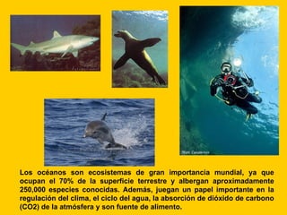 Los océanos son ecosistemas de gran importancia mundial, ya que
ocupan el 70% de la superficie terrestre y albergan aproximadamente
250,000 especies conocidas. Además, juegan un papel importante en la
regulación del clima, el ciclo del agua, la absorción de dióxido de carbono
(CO2) de la atmósfera y son fuente de alimento.
 