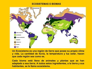 ECOSISTEMAS O BIOMAS




Un Ecosistema es una región de tierra que posee su propio clima
y vida. La cantidad de lluvia, la temperatura y luz solar, hacen
que cada región sea como es.
Cada bioma está lleno de animales y plantas que se han
adaptado a esa tierra. A todos estos ingredientes, a la tierra y sus
habitantes, se le llama ecosistema.
 