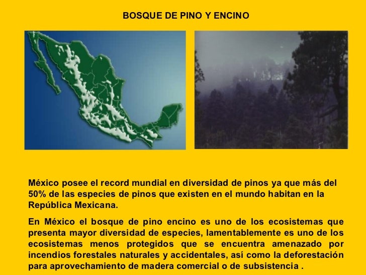 Ecosistemas