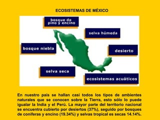 ECOSISTEMAS DE MÉXICO




En nuestro país se hallan casi todos los tipos de ambientes
naturales que se conocen sobre la Tierra, esto sólo lo puede
igualar la India y el Perú. La mayor parte del territorio nacional
se encuentra cubierto por desiertos (37%), seguido por bosques
de coníferas y encino (19.34%) y selvas tropical es secas 14.14%.
 