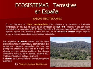 ECOSISTEMAS  Terrestres  en España BOSQUE MEDITERRANEO   En las regiones de  clima mediterráneo  con veranos muy calurosos e inviernos templados, en las que la lluvia es de alrededor de  500 mm  anuales y cae con gran irregularidad y torrencialmente. Es típico de toda la franja que rodea al Mediterráneo y de algunos lugares de California y Africa del Sur. En la  Península Ibérica  ocupa amplias áreas, a veces mezclándose con el bosque caducifolio.  Las especies  arbóreas  suelen ser de hoja perenne: Encina y alcornoque, acompañados de acebuches, quejigos, algarrobos, etc. son los principales árboles de este tipo de bosque. Por debajo de estos árboles proliferan las plantas aromáticas como romeros, salvias, lavanda, etc. y el boj, madroños, lentisco, jaras, etc  La  fauna  es rica y variada e incluye todo tipo de animales Ej:  Parque Nacional Cabañeros 