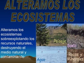 ALTERAMOS LOS  ECOSISTEMAS  Alteramos los ecosistemas sobreexplotando los recursos naturales, destruyendo el medio natural y contaminando 
