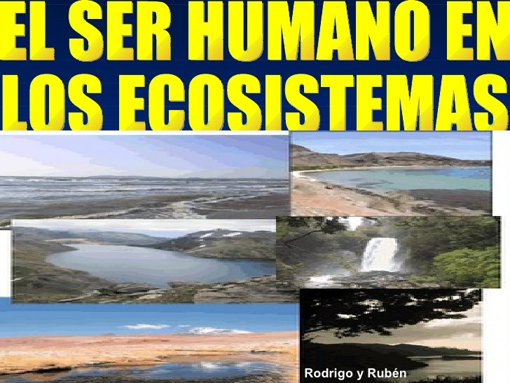 Ecosistemas