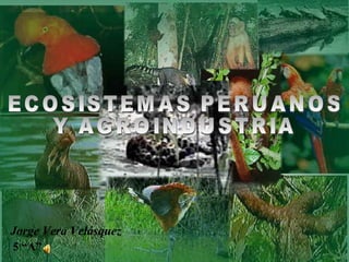 ECOSISTEMAS PERUANOS  Y AGROINDUSTRIA Jorge Vera Velásquez 5 “A” 