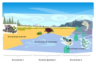 Ecosistema 1 Ecosistema 2 Ecotono (pantano) Ecosistema terrestre Ecosistema acuático Ecosistema de transición 