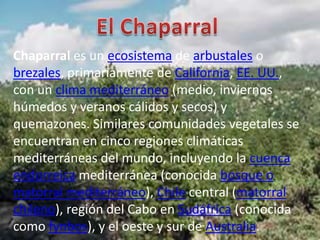El ChaparralChaparral es un ecosistema de arbustales o brezales, primariamente de California, EE. UU., con un clima mediterráneo (medio, inviernos húmedos y veranos cálidos y secos) y quemazones. Similares comunidades vegetales se encuentran en cinco regiones climáticas mediterráneas del mundo, incluyendo la cuenca endorreica mediterránea (conocida bosque o matorral mediterráneo), Chile central (matorral chileno), región del Cabo en Sudáfrica (conocida como fynbos), y el oeste y sur de Australia.