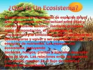 ¿Qué Es un Ecosistema?¿Que Es Un Ecosistema?El ecosistema es el conjunto de especies de un área determinada que interactúan entre ellas y con su ambiente abiótico; mediante procesos como la depredación, el parasitismo, la competencia y la simbiosis, y con su ambiente al desintegrarse y volver a ser parte del ciclo de energía y de nutrientes. Las especies del ecosistema, incluyendo bacterias, hongos, plantas y animales dependen unas de otras. Las relaciones entre las especies y su medio, resultan en el flujo de materia y energía del ecosistema.
