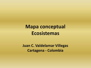 Mapa conceptual Ecosistemas Juan C. Valdelamar Villegas Cartagena - Colombia 