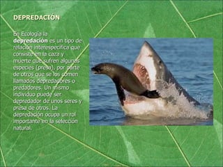 DEPREDACIÓN En Ecología la  depredación  es un tipo de relación interespecífica que consiste en la caza y muerte que sufren algunas especies (presa), por parte de otros que se los comen llamados depredadores o predadores. Un mismo individuo puede ser depredador de unos seres y presa de otros. La depredación ocupa un rol importante en la selección natural. 