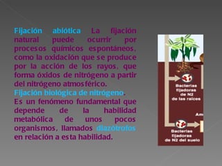 Fijación abiótica  La fijación natural puede ocurrir por procesos químicos espontáneos, como la oxidación que se produce por la acción de los rayos, que forma óxidos de nitrógeno a partir del nitrógeno atmosférico. Fijación biológica de nitrógeno . Es un fenómeno fundamental que depende de la habilidad metabólica de unos pocos organismos, llamados  diazótrofos  en relación a esta habilidad. 