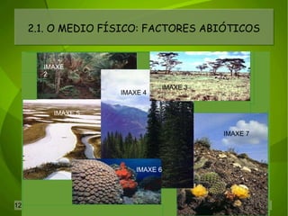 2.1. O MEDIO FÍSICO: FACTORES ABIÓTICOS IMAXE 2 IMAXE 3 IMAXE 4 IMAXE 5 IMAXE 6 IMAXE 7 