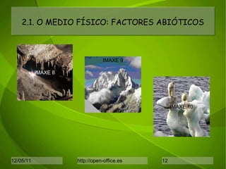 2.1. O MEDIO FÍSICO: FACTORES ABIÓTICOS IMAXE 8 IMAXE 9 IMAXE 10 
