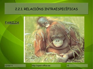 2.2.1. RELACIÓNS INTRAESPECÍFICAS FAMILIA 