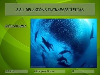 2.2.1. RELACIÓNS INTRAESPECÍFICAS GREGARISMO 