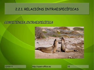 2.2.1. RELACIÓNS INTRAESPECÍFICAS COMPETENCIA INTRAESPECÍFICA 