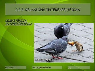 2.2.2. RELACIÓNS INTERESPECÍFICAS COMPETENCIA  INTERESPECÍFICA 