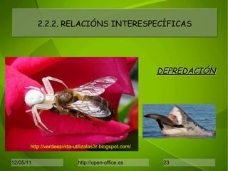 2.2.2. RELACIÓNS INTERESPECÍFICAS DEPREDACIÓN http://verdeesvida-utilizalas3r.blogspot.com/ 