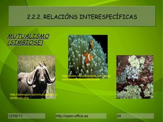 2.2.2. RELACIÓNS INTERESPECÍFICAS MUTUALISMO (SIMBIOSE) http://elrenglon.com/mutualismo-y-simbiosis.php http://www.moonmentum.com/blog/navio/evolucion-y-simbiosis 