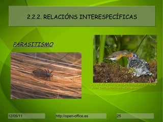 2.2.2. RELACIÓNS INTERESPECÍFICAS PARASITISMO ACCÉSIT RELACIONES INTERESPECÍFICAS Juan Carlos Martínez - Parasitismo 