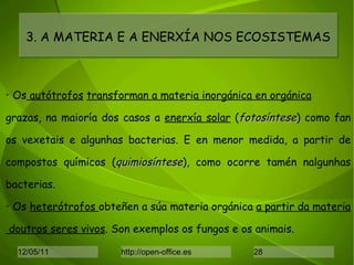 Os  autótrofos   transforman a materia inorgánica en orgánica   grazas, na maioría dos casos a  enerxía solar  ( fotosíntese ) como fan os vexetais e algunhas bacterias. E en menor medida, a partir de compostos químicos ( quimiosíntese ), como ocorre tamén nalgunhas bacterias. Os  heterótrofos  obteñen a súa materia orgánica  a partir da materia doutros seres vivos . Son exemplos os fungos e os animais. 3. A MATERIA E A ENERXÍA NOS ECOSISTEMAS 