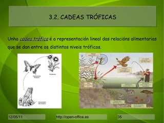 3.2. CADEAS TRÓFICAS Unha  cadea trófica  é a representación lineal das relacións alimentarias que se dan entre os distintos niveis tróficos. 