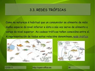 3.3. REDES TRÓFICAS Como na natureza é habitual que un consumidor se alimente de máis dunha especie do nivel inferior e ésta a súa vez serve de alimento a varias do nivel superior. As cadeas tróficas teñen conexións entre sí. A representación de todas estas relacións denomínase  rede trófica . 