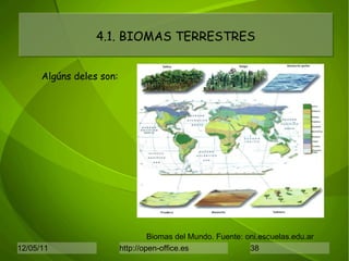 4.1. BIOMAS TERRESTRES Biomas del Mundo. Fuente: oni.escuelas.edu.ar Algúns deles son: 