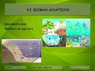4.2. BIOMAS ACUÁTICOS Básicamente dous: Mariños e de auga doce 