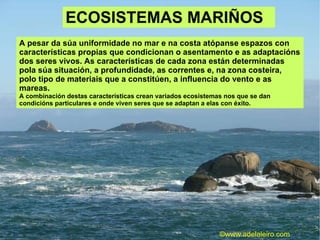ECOSISTEMAS MARIÑOS  A pesar da súa uniformidade no mar e na costa atópanse espazos con características propias que condicionan o asentamento e as adaptacións dos seres vivos. As características de cada zona están determinadas pola súa situación, a profundidade, as correntes e, na zona costeira, polo tipo de materiais que a constitúen, a influencia do vento e as  mareas. A combinación destas características crean variados ecosistemas nos que se dan condicións particulares e onde viven seres que se adaptan a elas con éxito. ©ɷɷ.𾱰.ǳ 