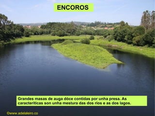 ENCOROS  Grandes masas de auga dóce contidas por unha presa. As caracteríticas son unha mestura das dos ríos e as dos lagos.  ©ɷɷ.𾱰.ǳ 