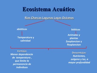 Ecosistema Acuático Ríos Charcas Lagunas Lagos Océanos abióticos bióticos Temperatura y salinidad  Animales y plantas Zooplancton y fitoplancton Desventajas: Nutrientes, oxigeno y luz, a mayor profundidad Ventaja : Menor dependencia  de  temperatura , que limite la permanencia de individuos 