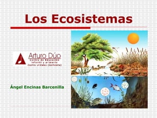 Los Ecosistemas Ángel Encinas Barcenilla 